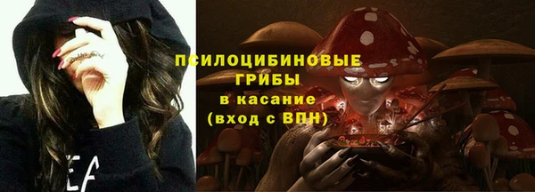гашик Волоколамск