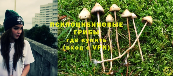 apvp Волосово